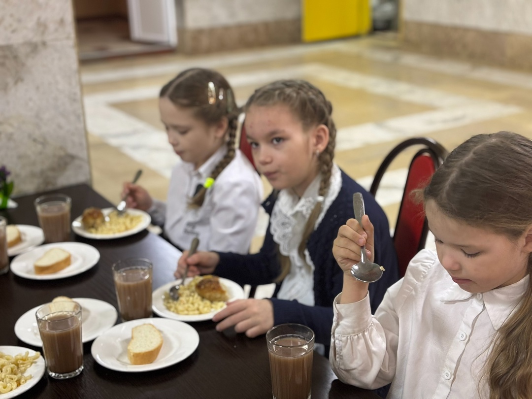 Родительский контроль за организацией питания в школе.